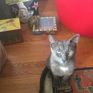 Meet your Posher, Tamara